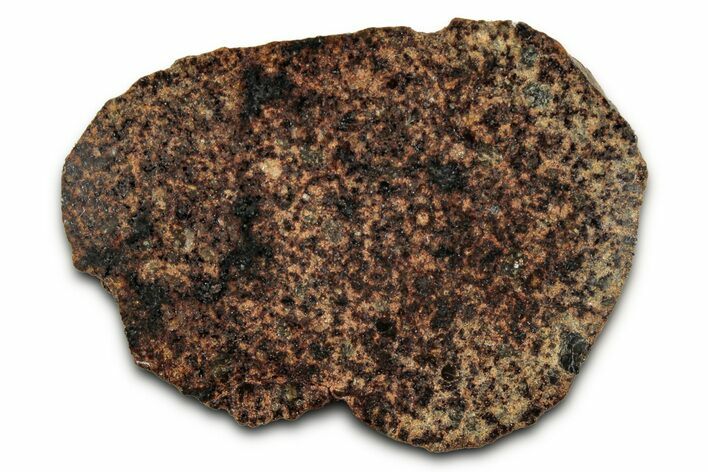 Chondrite Meteorite Section ( g) - NWA #347080